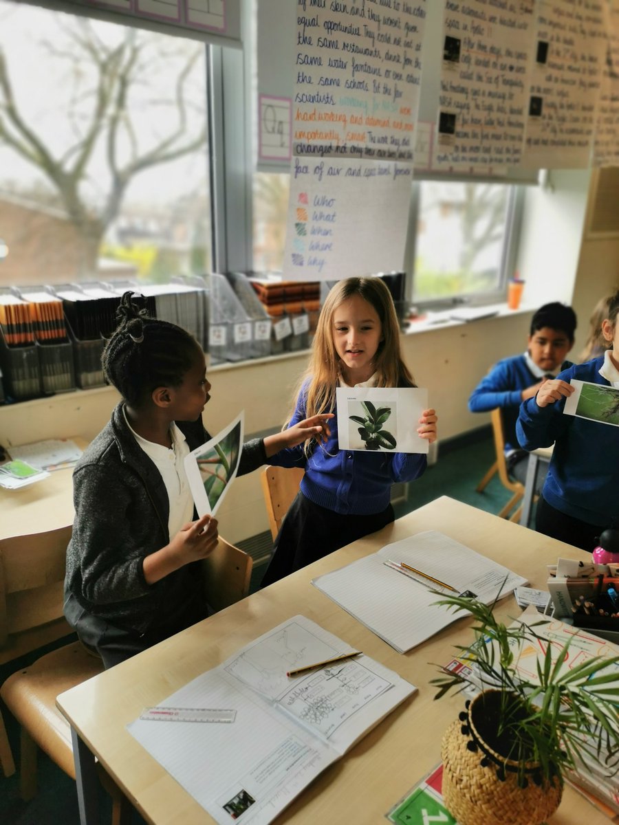 Oak Class tweet media