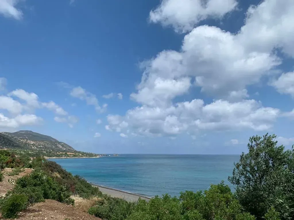 Cyprus4Holidays's tweet photo. The bluest blue — only in #Cyprus 🇨🇾

The gorgeous blue of the sea is complemented by the bright blue of the sky. Few things compare to a gorgeous Mediterranean setting 😍

📍Paphos

📸 @Cyprus4Holidays

#Paphos #travel #sunny #Cyprus #Cyprus4Holidays https://t.co/GQ9rXoz58B