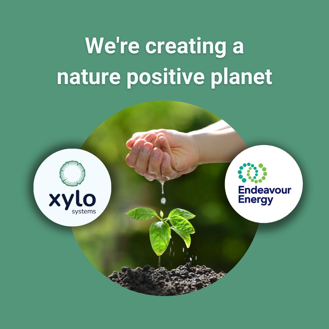Xylo Systems (@xylosystemsaus) on Twitter photo Announcing our pilot partner <a href="/endeavourenergy/">Endeavour Energy</a>, who is mission to become Nature Positive by 2025! Together, we are using tech to improve outcomes for nature and biodiversity in their network area. Together, we are creating a nature-positive future! #InternationalDayofForests Announcing our pilot partner <a href="/endeavourenergy/">Endeavour Energy</a>, who is mission to become Nature Positive by 2025! Together, we are using tech to improve outcomes for nature and biodiversity in their network area. Together, we are creating a nature-positive future! #InternationalDayofForests