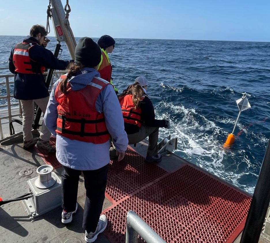 Anne Simonis tweet media