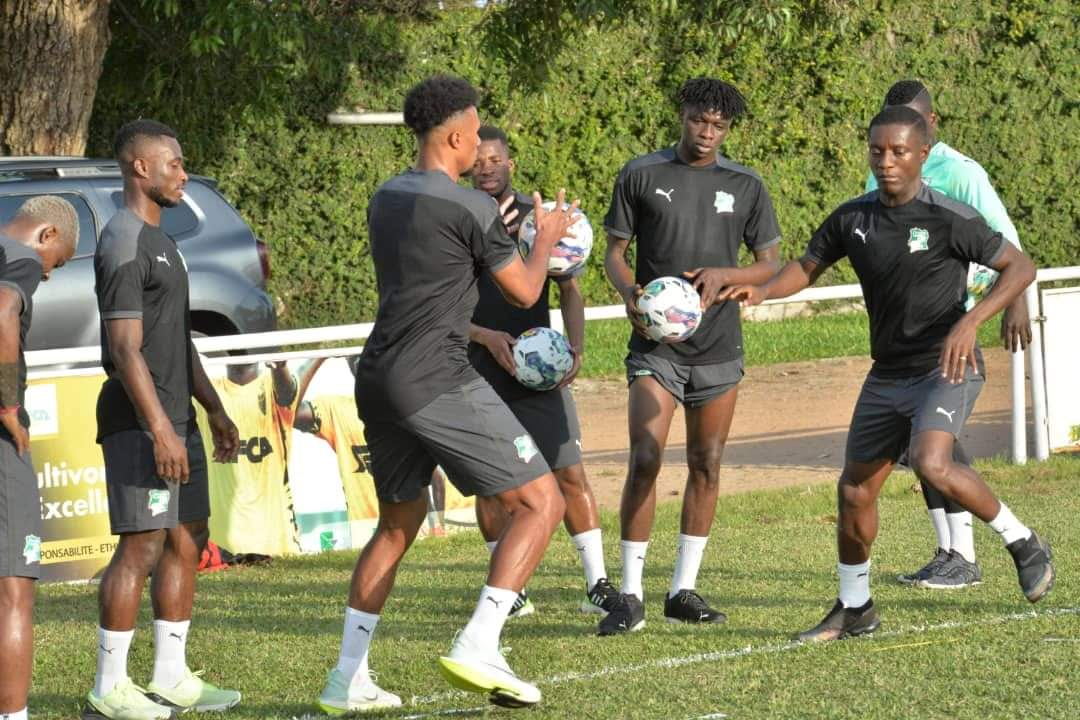 SEFLO9's tweet photo. Début de la préparation des 🇨🇮🐘 à sol béni pour la rencontre face au #comores ce vendredi à #bouake 
GASSET pourra compter sur la présence de #haller #krasso #kessie #aurier 
#boga remplace #bamba forfait 

#CAN2023 #cotedivoire #ci225 #civ225 #civ #AFCONQ2023 #AFCON2023 #afcon https://t.co/36dCmuoH0z