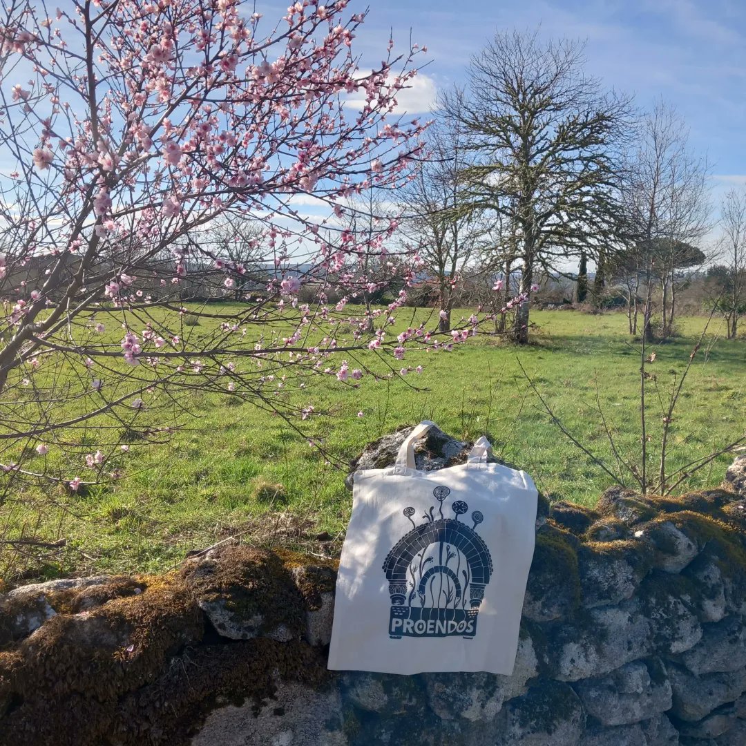 proencialibros's tweet photo. Primavera - sen filtro - en #Proendos ^^
🌸 Temos moita actividade e novidades en abril, coma estas bolsas de tea con deseño de #espiralismos que poderás mercar na Feira do Viño de Amandi.
#ilustración #primavera #Proendos #Proencia #LibraríadaProencia #concellodeSober https://t.co/J5gxLh5KoS