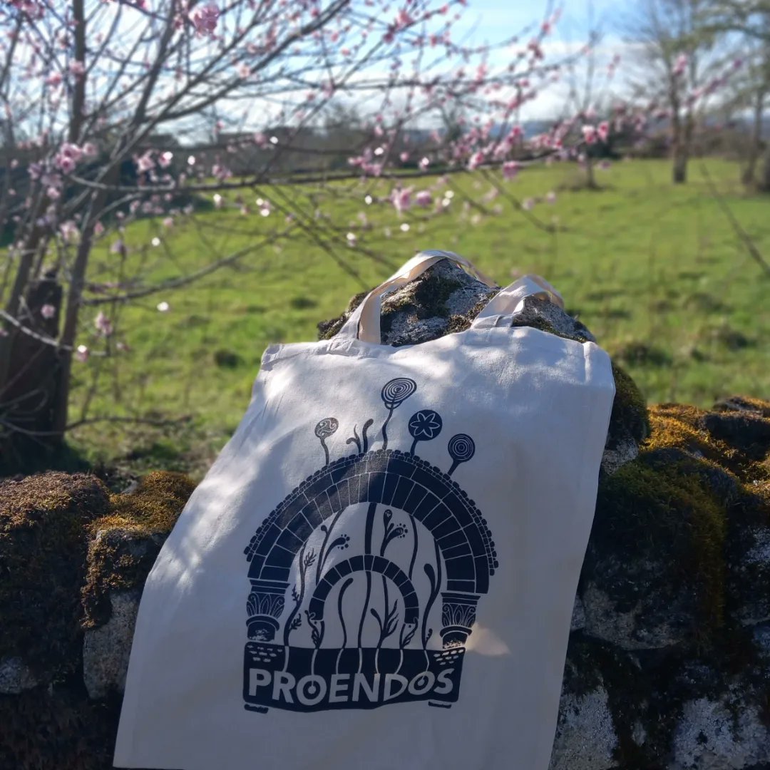 proencialibros's tweet photo. Primavera - sen filtro - en #Proendos ^^
🌸 Temos moita actividade e novidades en abril, coma estas bolsas de tea con deseño de #espiralismos que poderás mercar na Feira do Viño de Amandi.
#ilustración #primavera #Proendos #Proencia #LibraríadaProencia #concellodeSober https://t.co/J5gxLh5KoS