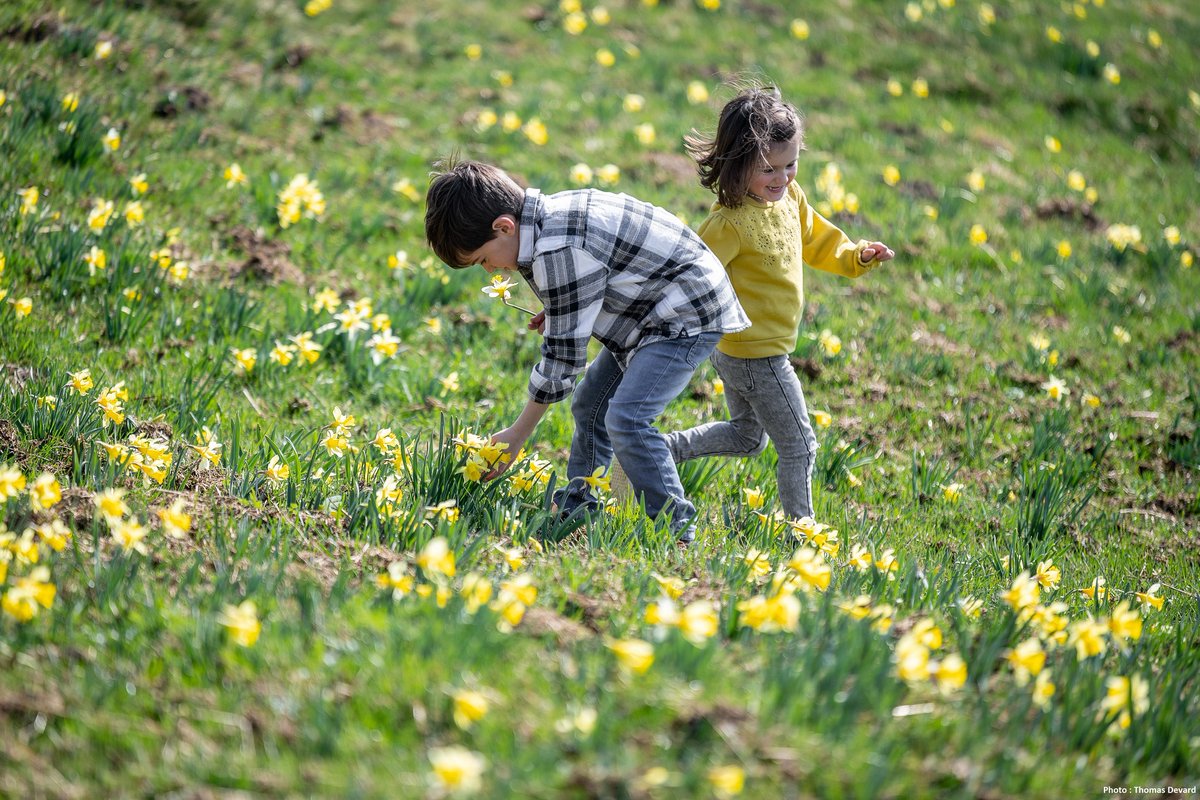 Quand le printemps à RDV avec le bonheur et réciproquement (# journée mondiale du bonheur) .Une jolie palette de couleurs vous attend pour une escapade douce et authentique !😍
La montagne buissonnière au printemps, c'est par ici:
bit.ly/le-printemps-m…
