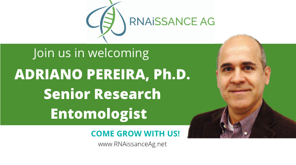 RNAissanceAg's tweet photo. Join us in welcoming our newest associate: Adriano Pereira, Ph.D., senior research entomologist. So glad you're with us, Adriano!
#innovation #RNAi https://t.co/ovcGePPCUj