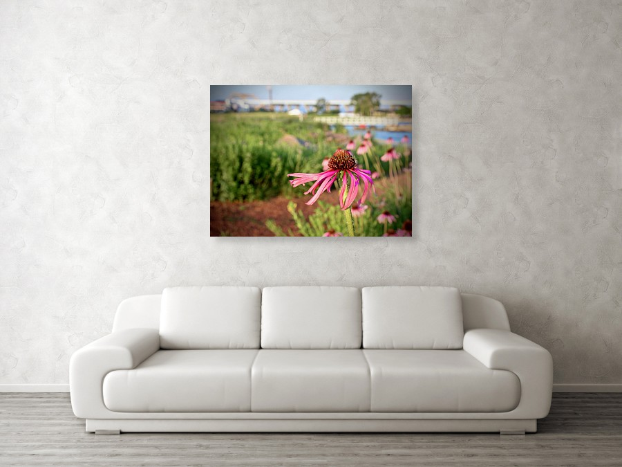 TiffanyPetteng4's tweet photo. Don't miss your chance to order #fineart #spring #milwaukee #visitmilwaukee #flowers #buyart #supportyourlocalarts #love #pink #happy
#officedecor #wallart
https://t.co/TpuHiAAmCH https://t.co/UmIwRrQWks