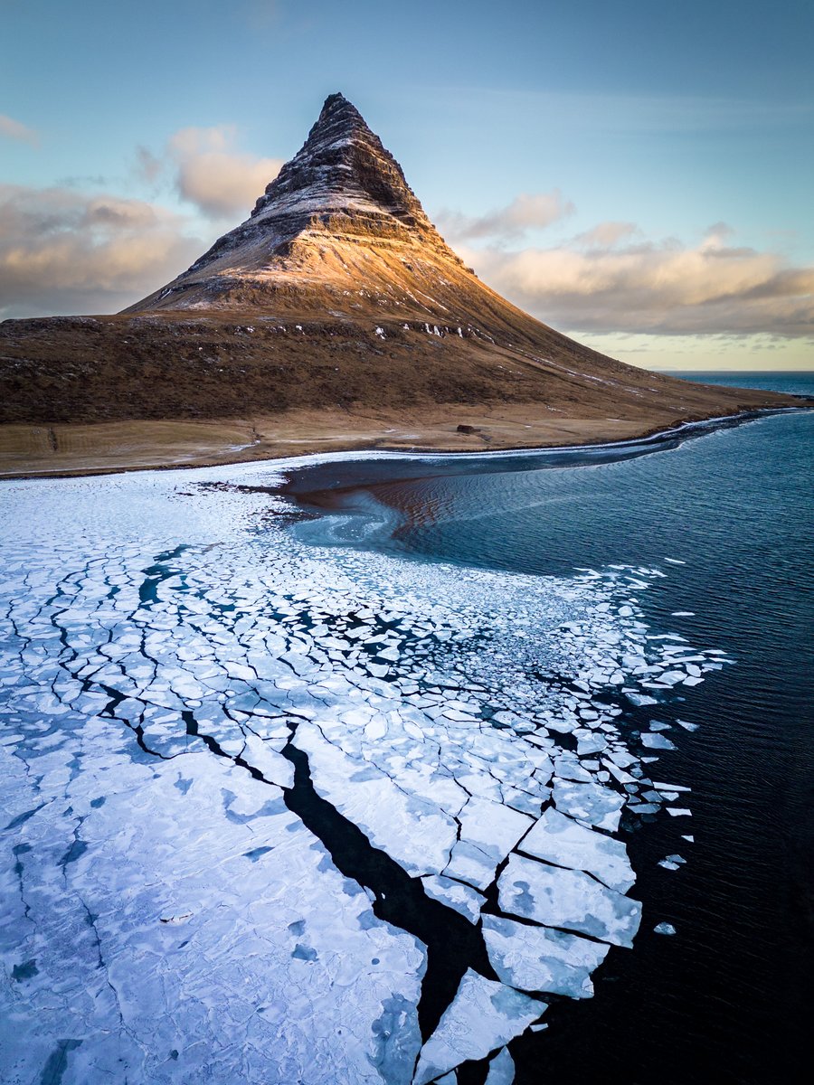 David Bertho tweet media