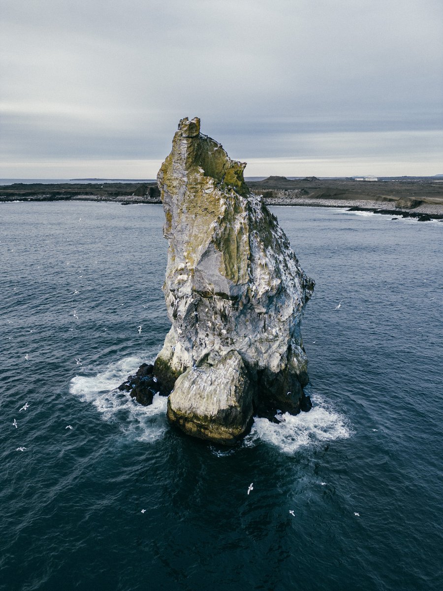 David Bertho tweet media