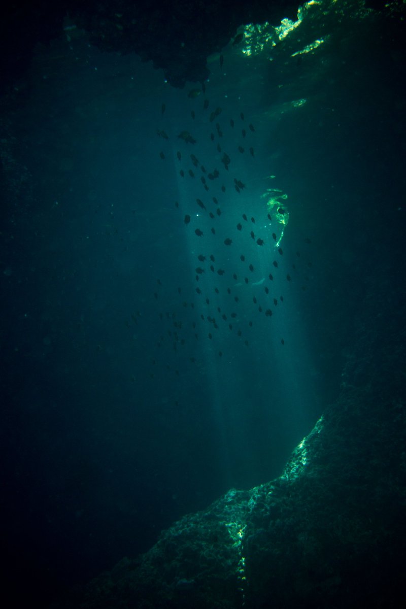 DanThΞMan Photography 📸 tweet media