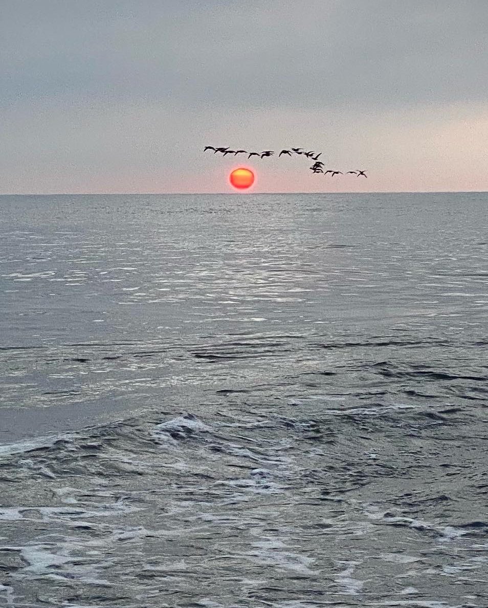 A favourite picture of mine.
Like a Japanese Print.
RT if you like it? ☺️