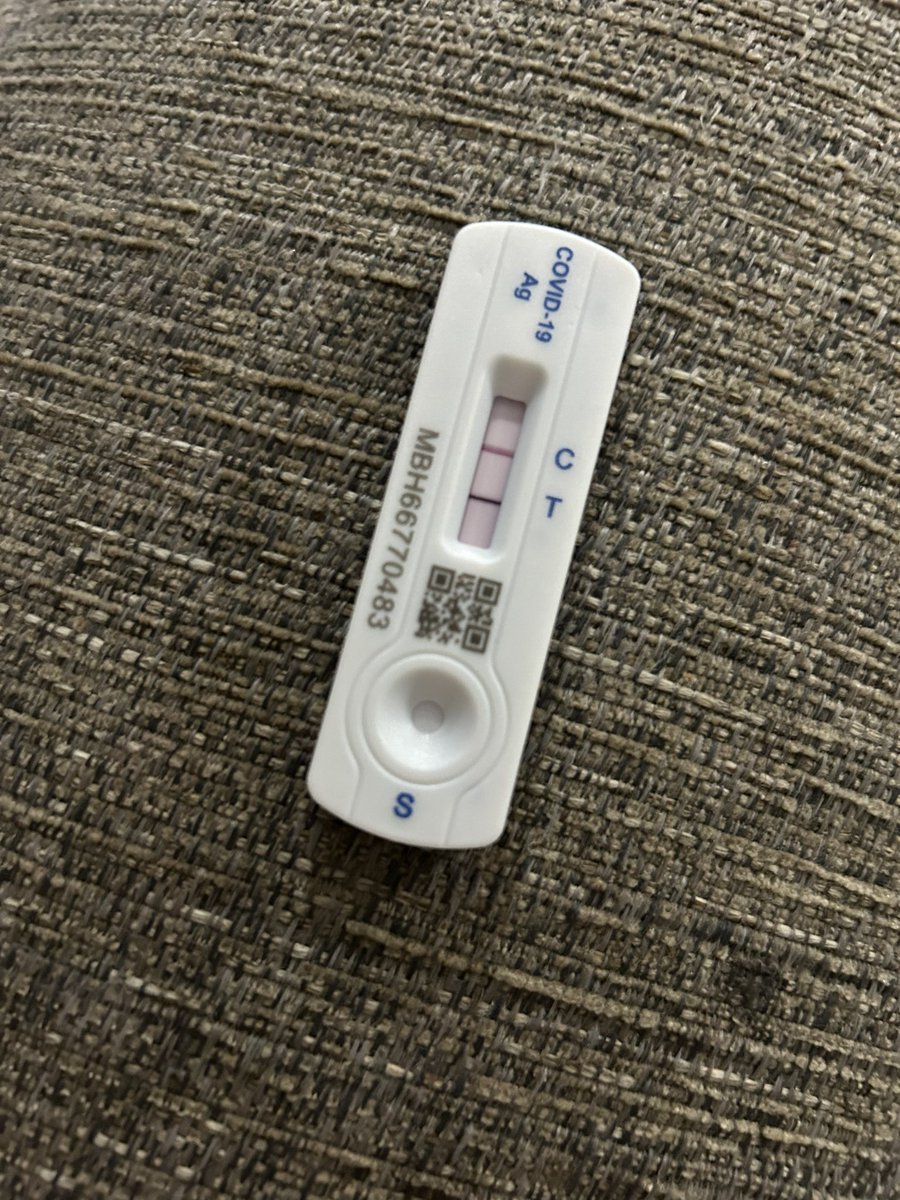 Lauren Jarvis tweet media