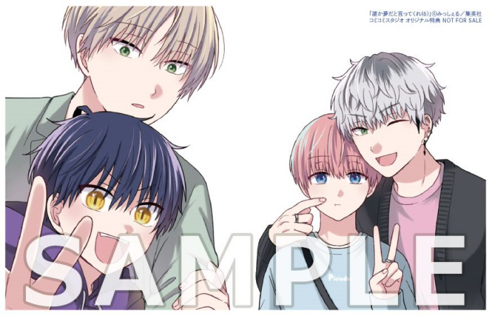 みっしぇる 誰か夢だと言ってくれ 特典セット リーフレット コミコミ