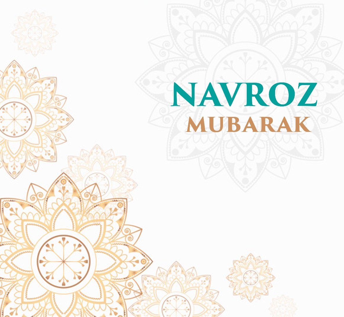 Navroz Mubarak