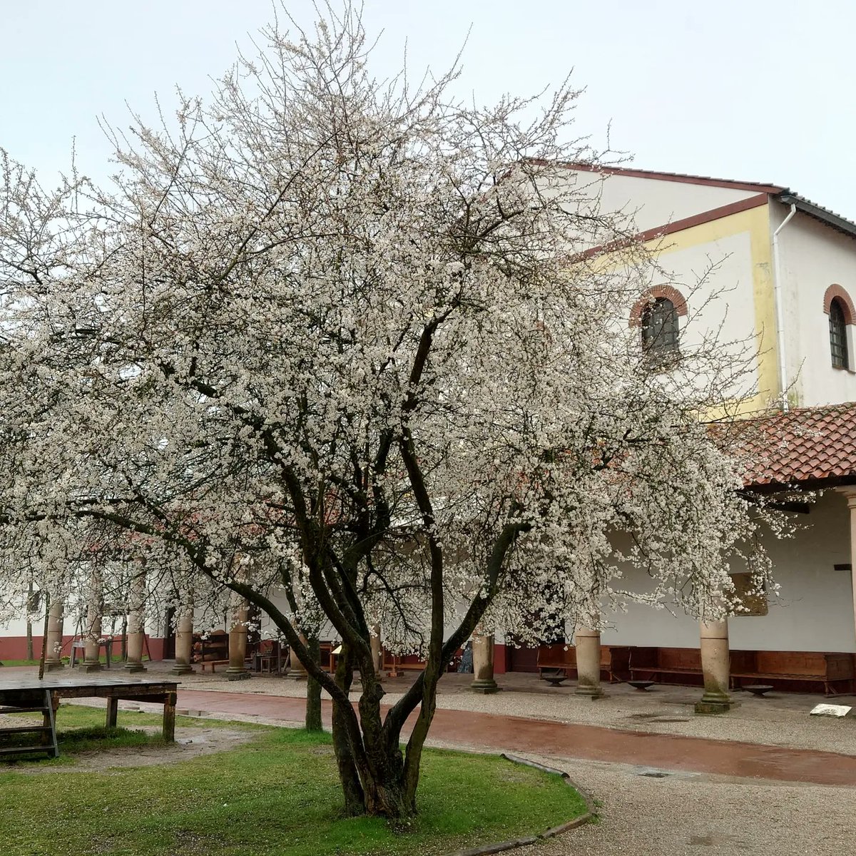 Ronald Visser @RonaldVisser@akademienl.social tweet media