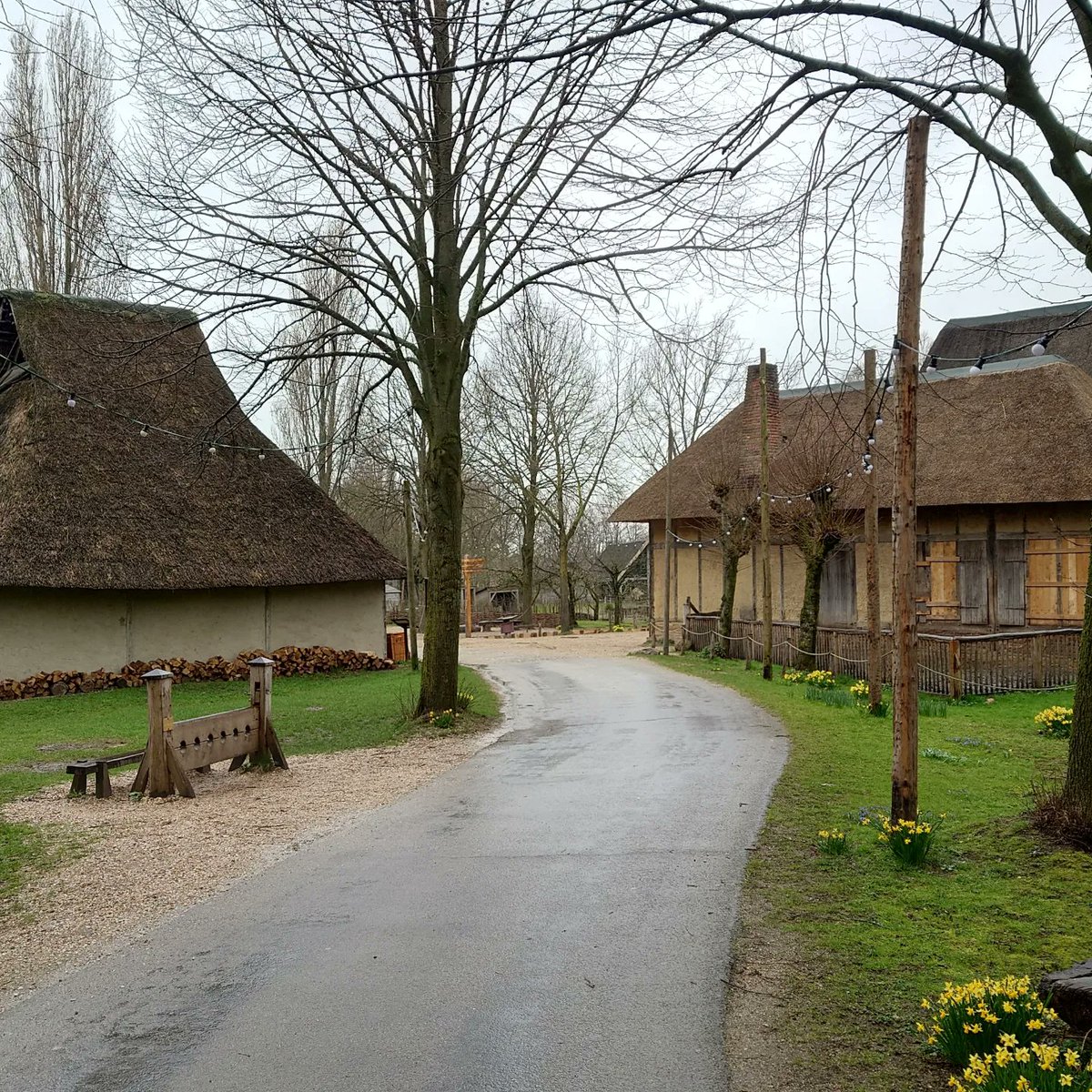 Ronald Visser @RonaldVisser@akademienl.social tweet media