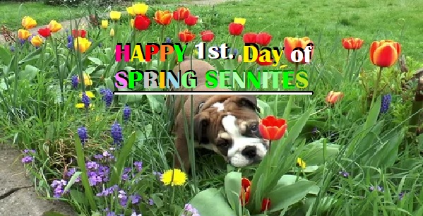 SennAlumni's tweet photo. “Spring is the time of the year when it is summer in the sun and winter in the shade.” – Charles Dickens
Here's to warmer days Bulldogs. #springtime #Bulldogs4Life #SennFriendsForever #SennStrong 
#WeAreTheMightyMightyBulldogs #SennPride #StreightOutOfSenn #SennIsFamily https://t.co/dmXCTlL0R0