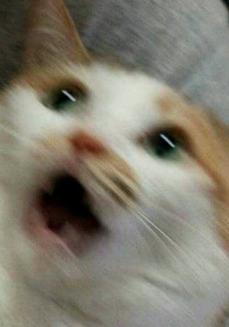 Age regressors vendo lojas de brinquedos: