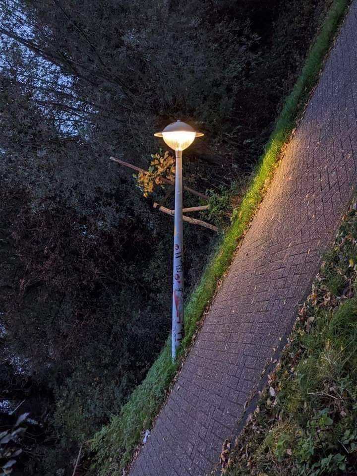 gownoposting's tweet image. 