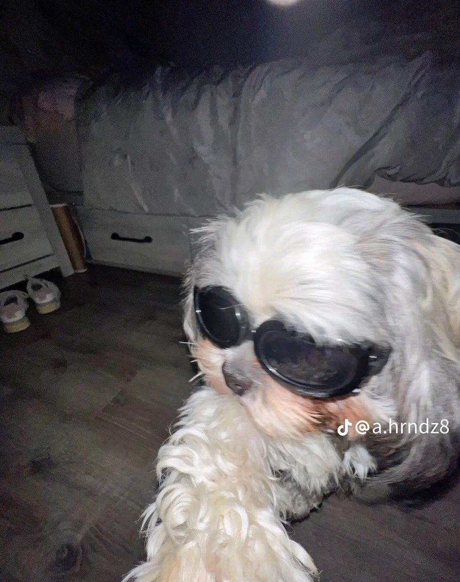 shango_com tweet picture