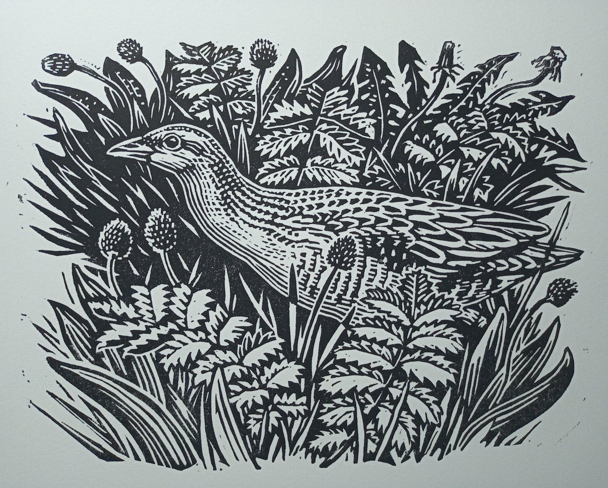 Richard Allen tweet media