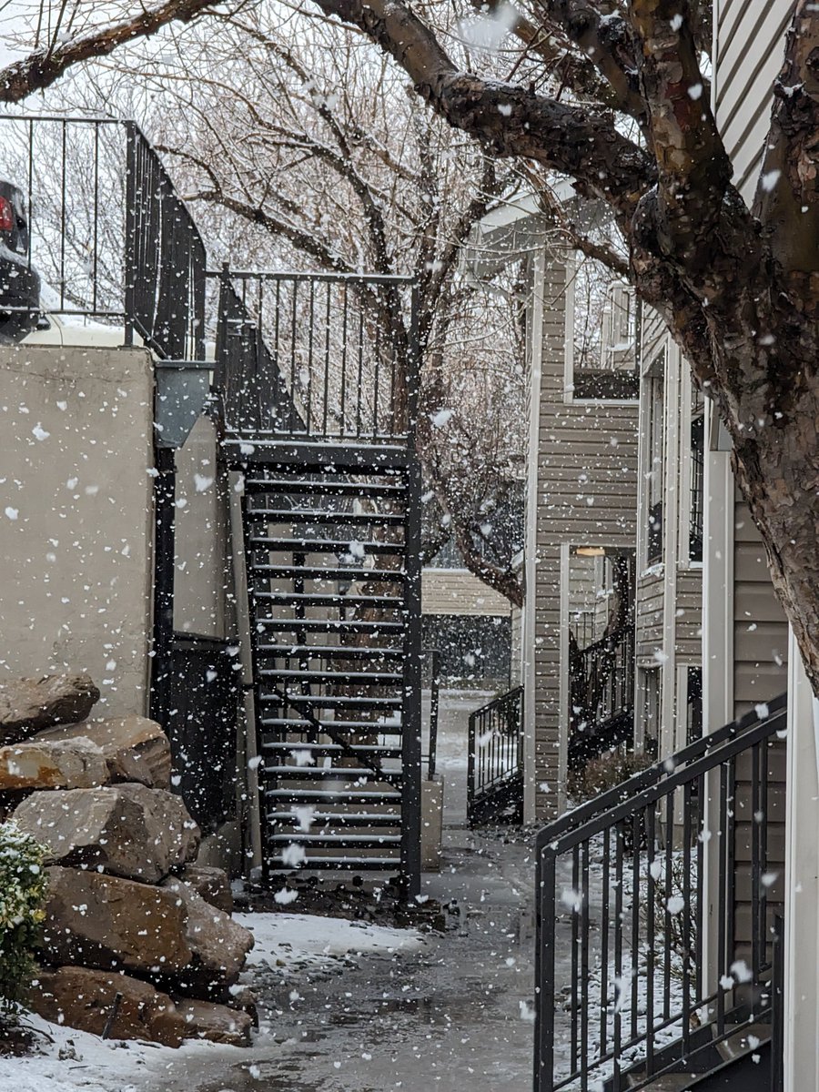 Raywayy2's tweet photo. Lol every time it's snow I have to take a few pictures #TeamPixel 📸 #pixel7 pro #android #androidcamera https://t.co/4XJHFDAQDP