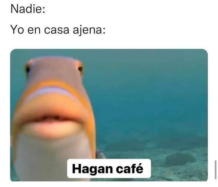 🫣🤭🙋🏼‍♂️