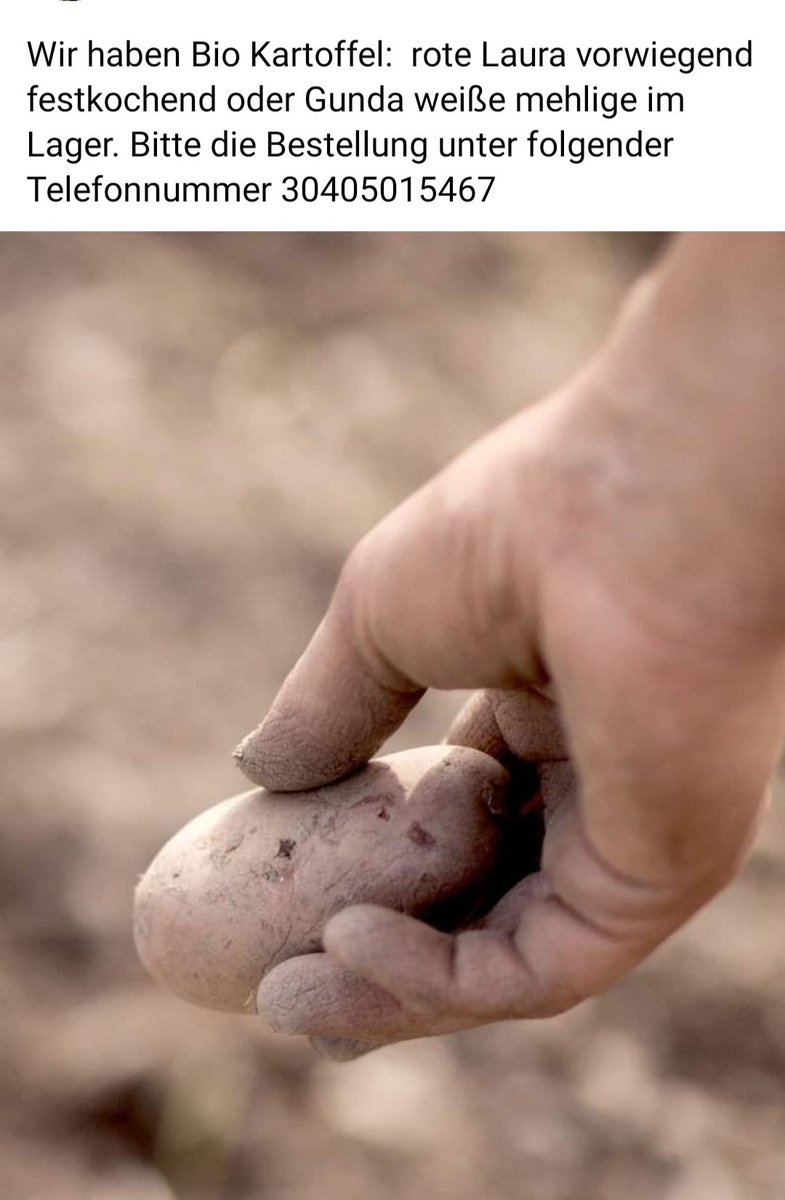 Ich liebe das Pustertal. An mords Zauber wegn oan (1!) Earepfl