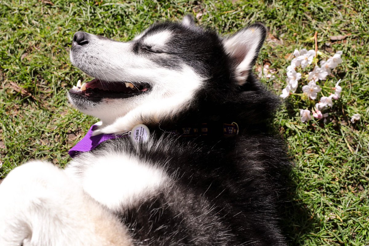 I love the springtime! 🐾