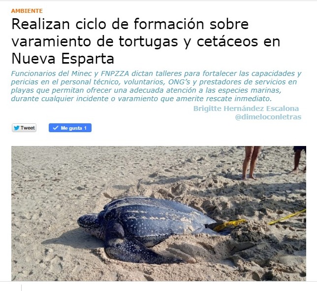 Mi reporte sobre la #faunamarina en #Venezuela 

Realizan ciclo de formación sobre varamiento de tortugas y cetáceos en Nueva Esparta en el  @elsoldmargarita 

#tortugasmarinas @ecopoliticave  @ClimateTracking @unep_espanol @IAC_SeaTurtles 

elsoldemargarita.com.ve/posts/post/id:…