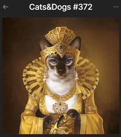 What breeds did you buy? Share in the comments!

#solana #cats #dogs #magiceden