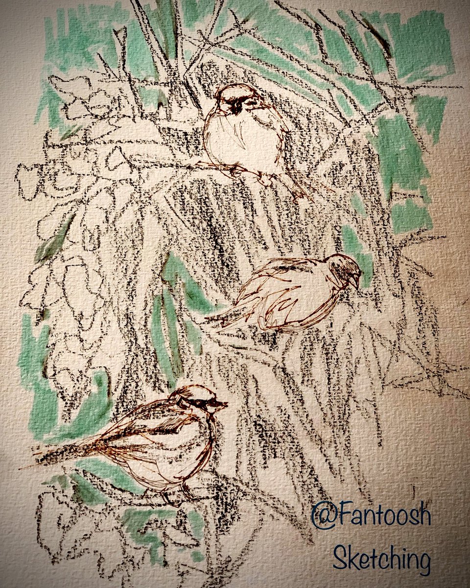 MrsFantoosh's tweet photo. Thanks to the lovely @eltbusglob I know today is Spring equinox, World sparrow day & International day of happiness.
And as watching spuggs in Spring hedgerow make me happy, I share this sketch. N.B spuggs =sparrows
#worldsparrowday #InternationalDayOfHappiness #fantoosh https://t.co/vsiLRGSoJA