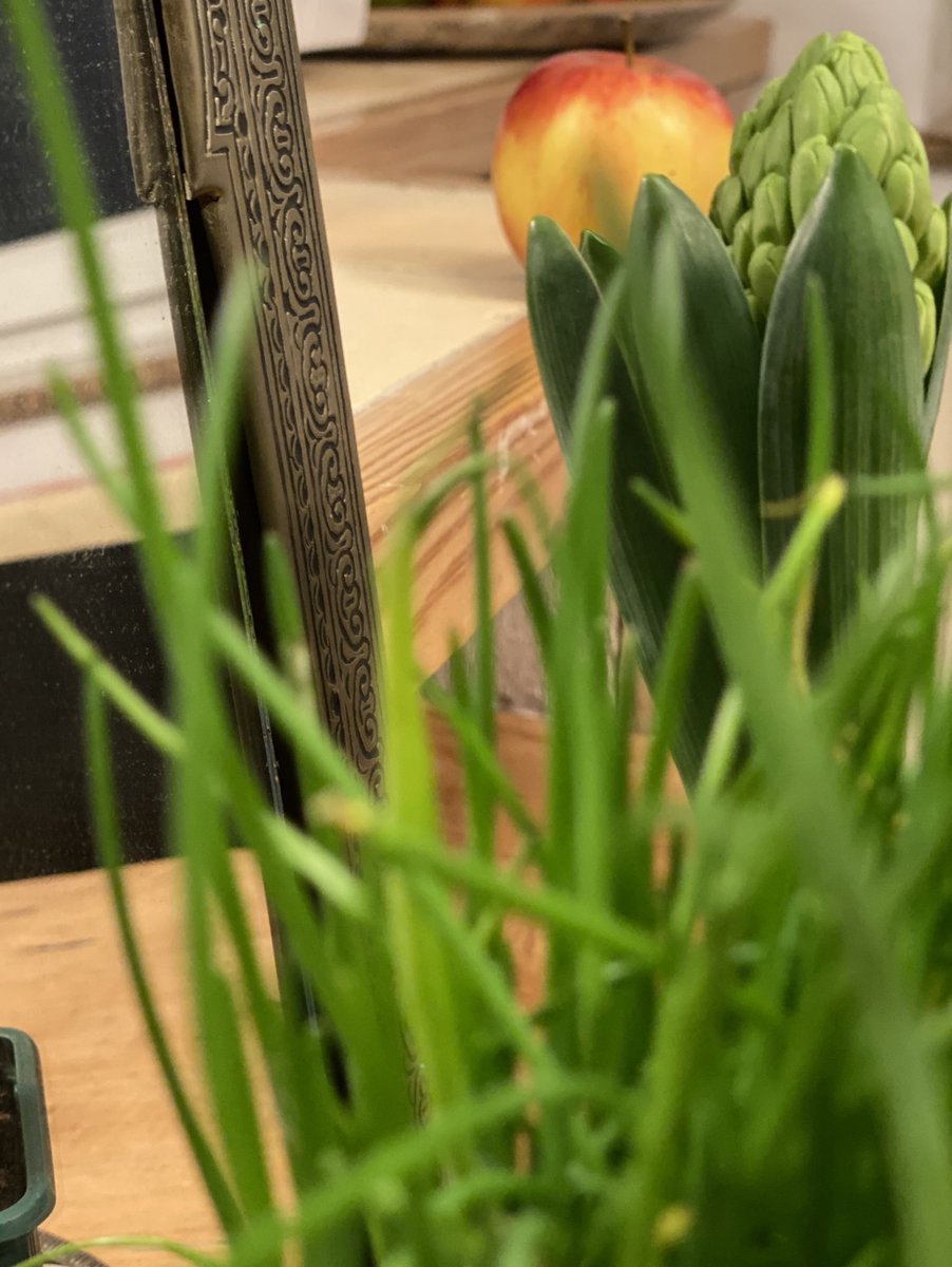 Es ist ein anderes #Nowruz als sonst. Der Frühlingsanfang ist immer so voll von Hoffnung,Frische.Dieses Jahr hat er auch etw Schweres.Wie könnte es anders sein. Was wird im neuen Jahr im #Iran passieren? Und doch ist es ein Moment,wo man hofft! Frohes, neues Jahr. #عیدتون_مبارم