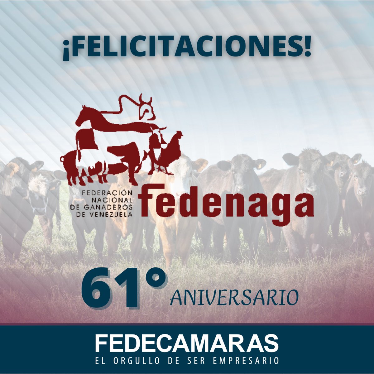 Felicitaciones a la Asociación Nacional de Ganaderos de Venezuela, <a href="/Fedenaga/">FEDENAGA</a>, por sus 61 años trabajando en el desarrollo del sector productivo nacional, a través del fortalecimiento y del crecimiento de la ganadería del país. 
#Fedenaga #Aniversario 
#61Años