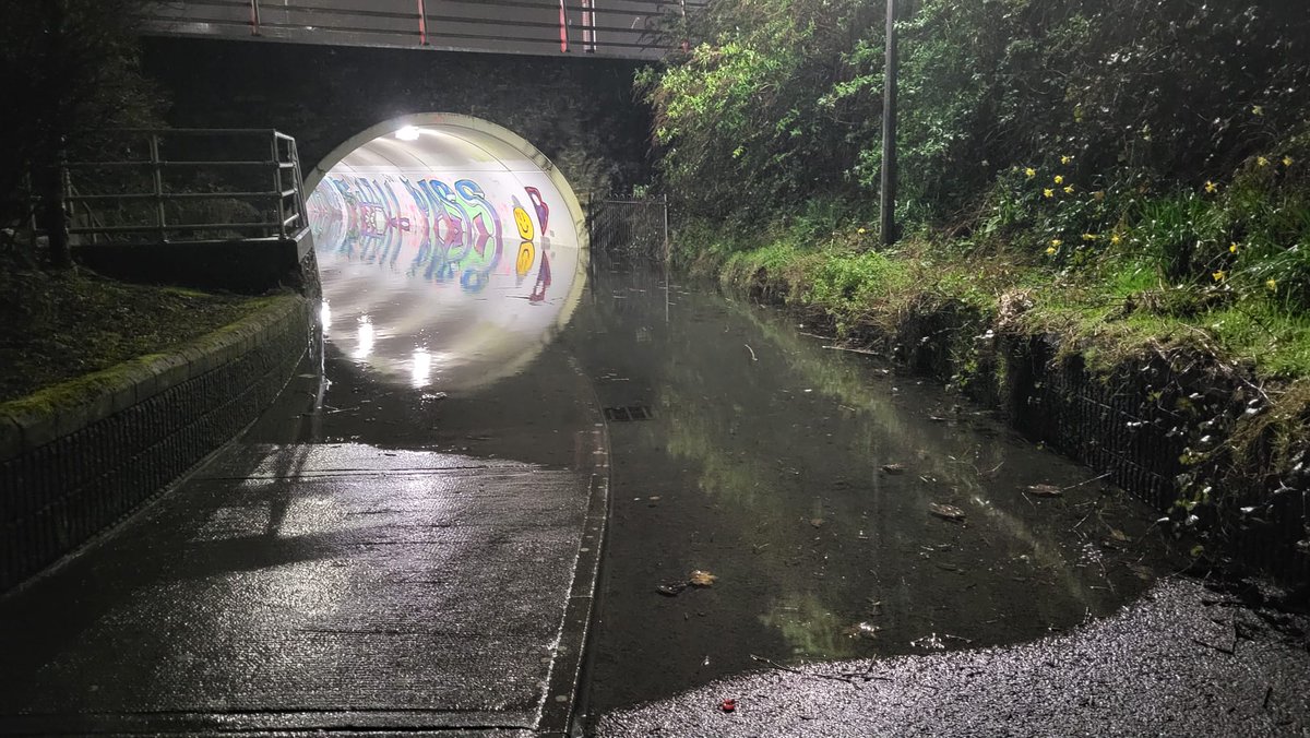 Pedestrian underpass at Briarhill was under water again this week. 2 feet deep in the middle. Despite regular cleaning & maintenance by the council team, there's more serious issues to be resolved if it's to be safe & accessible for all. I've made representations to the council