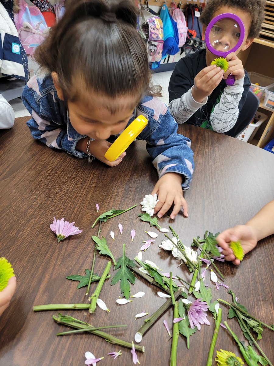 Daisy Molina tweet media