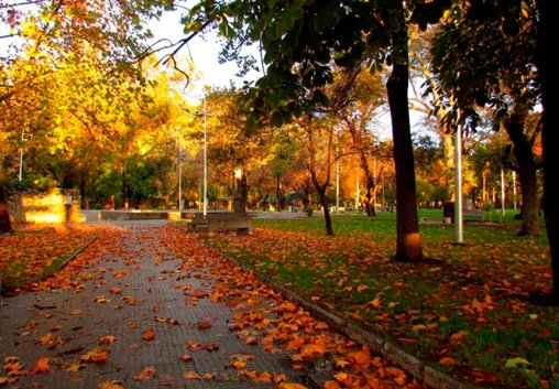 El Otoño ha comenzado.

Pasada las 18:24 horas ha comenzado el Otoño en Chile, si bien seguirán los días cálidos, la temperatura irá disminuyendo con el pasar del tiempo y la luz solar será menor.
Las lluvias irán llegando desde abril a Chile central.
