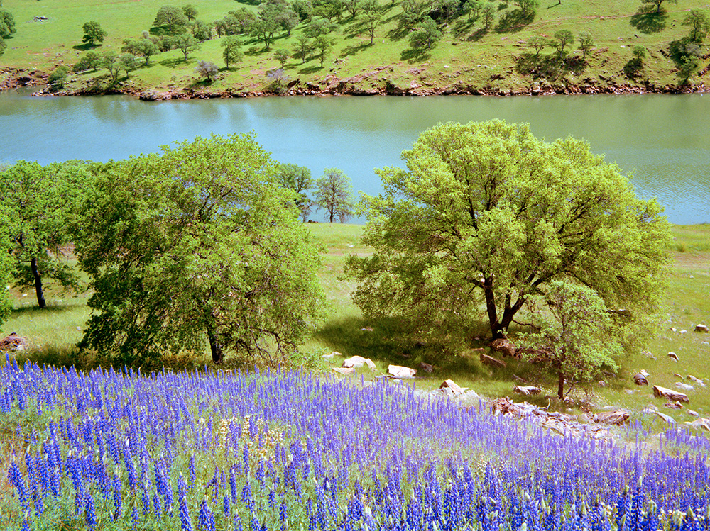 Stephen Johnson tweet media