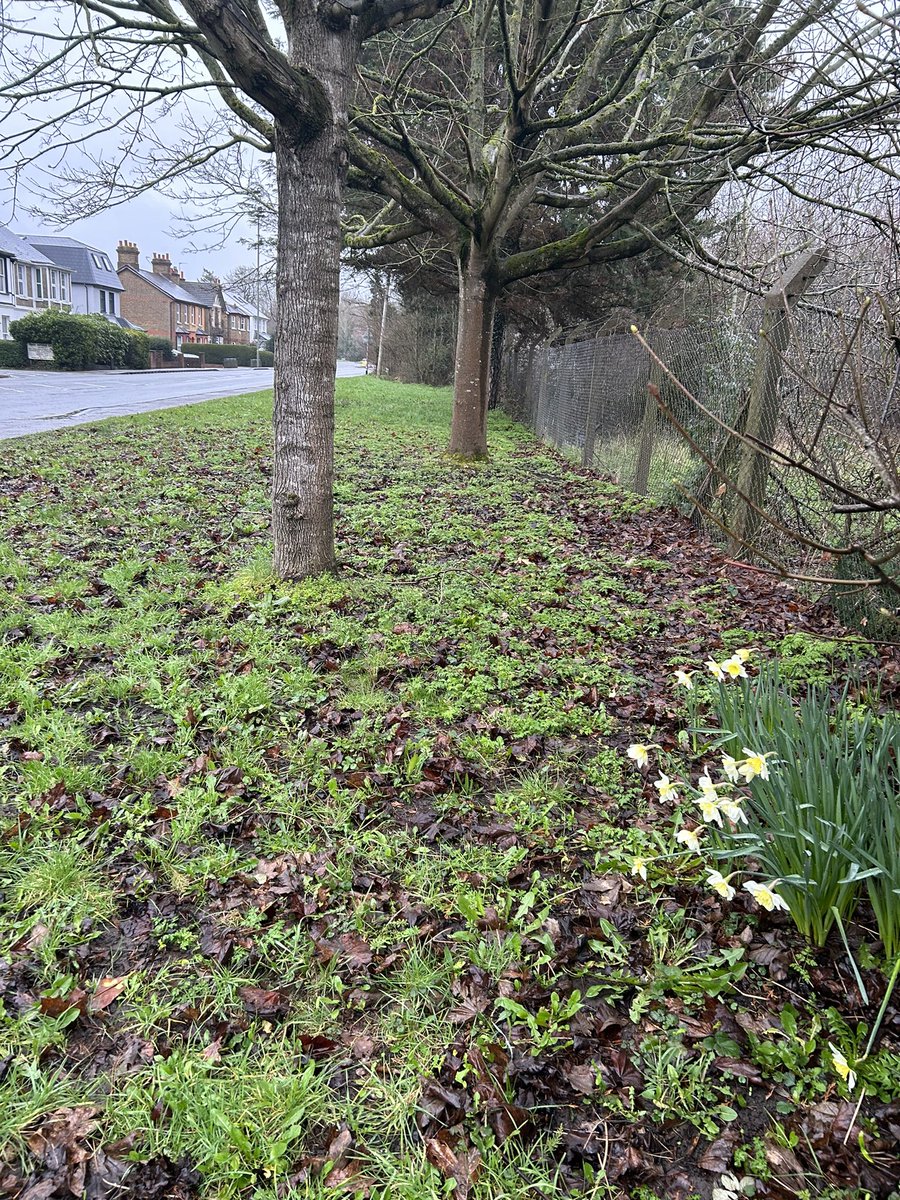 Keep Epsom and Ewell Tidy tweet media