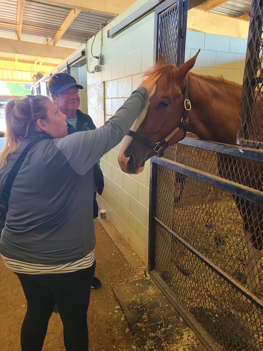 CrownsWayRacing's tweet photo. The newest member of the team is already feeling the love. #copperbullet #needsaname https://t.co/ewajIblObq
