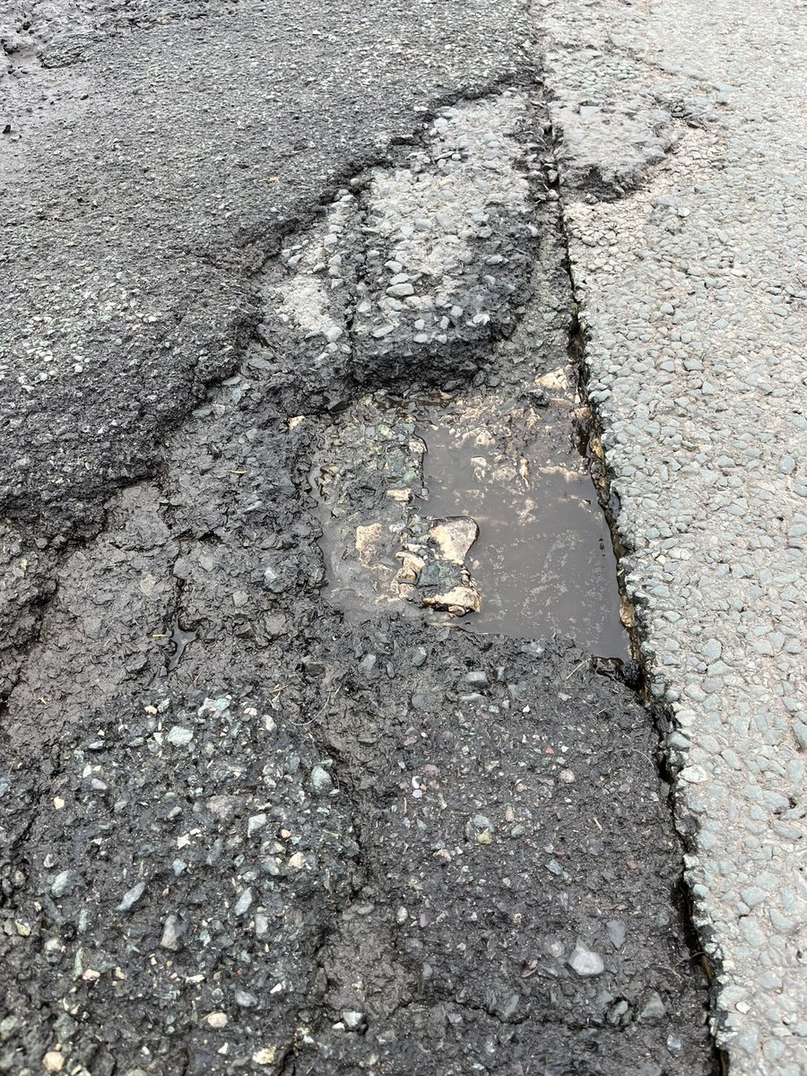 Elaine Curran tweet media