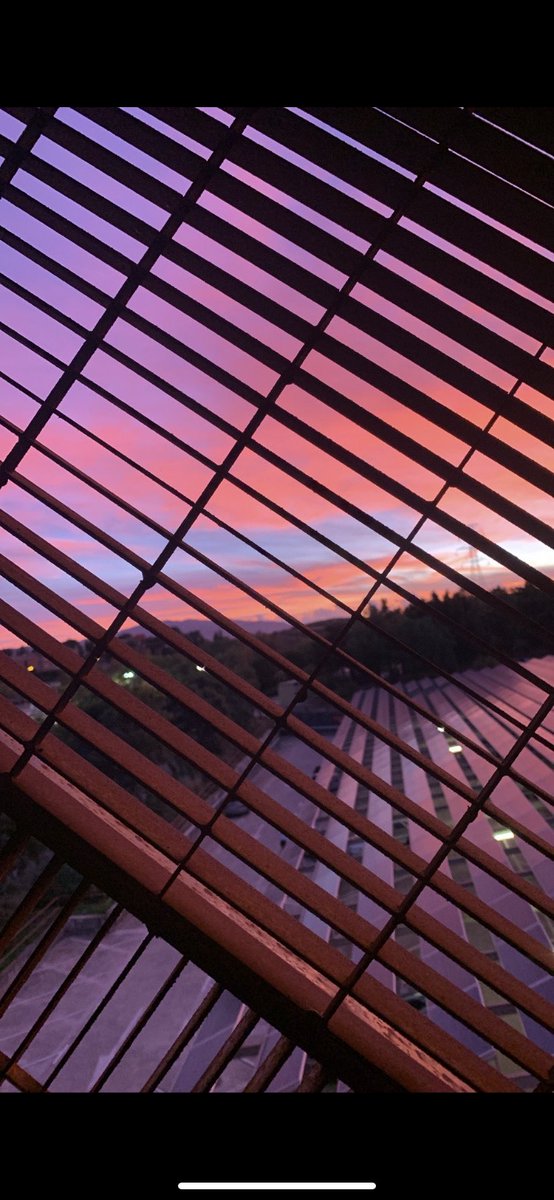 Delegación CCT tweet media