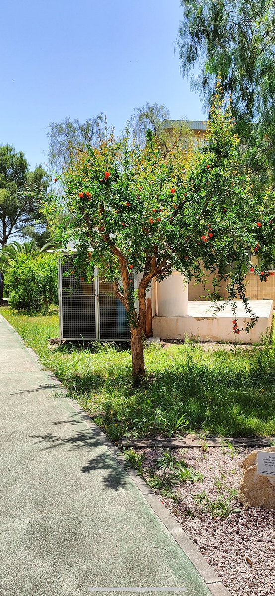 Delegación CCT tweet media