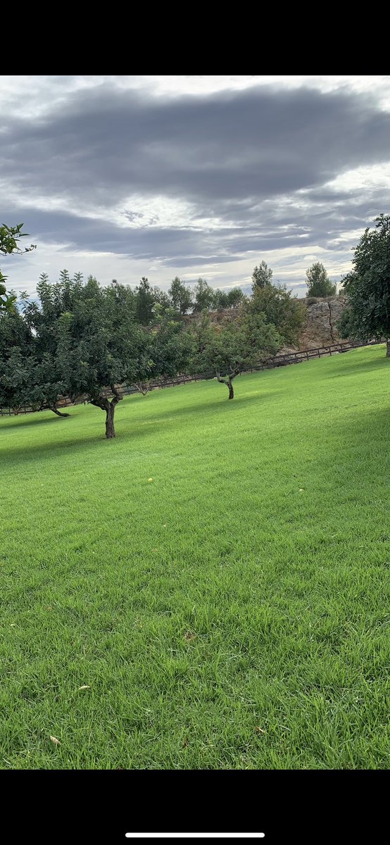 Delegación CCT tweet media