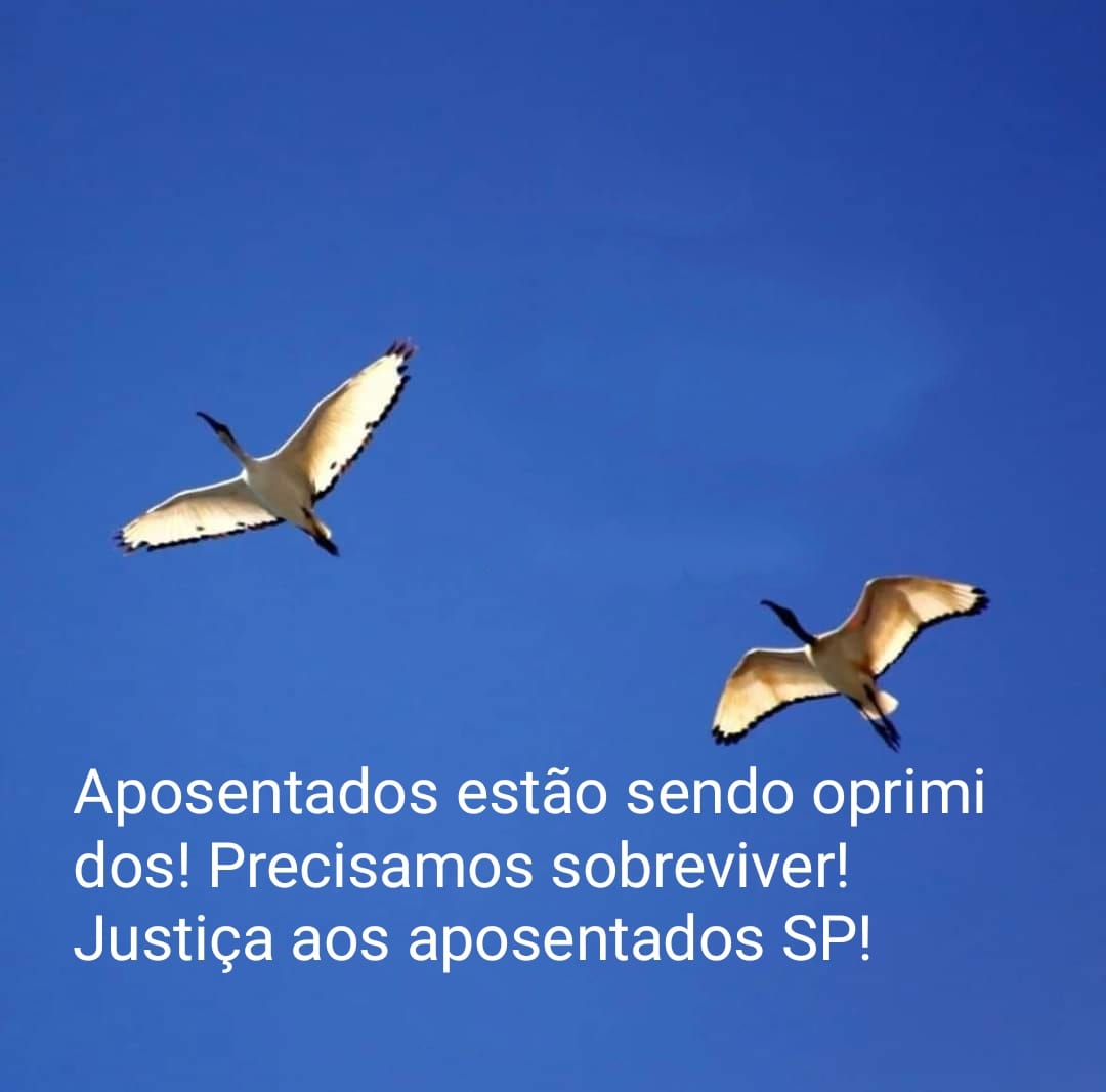 Marga Azevedo🇧🇷🚩🚩🚩 tweet media