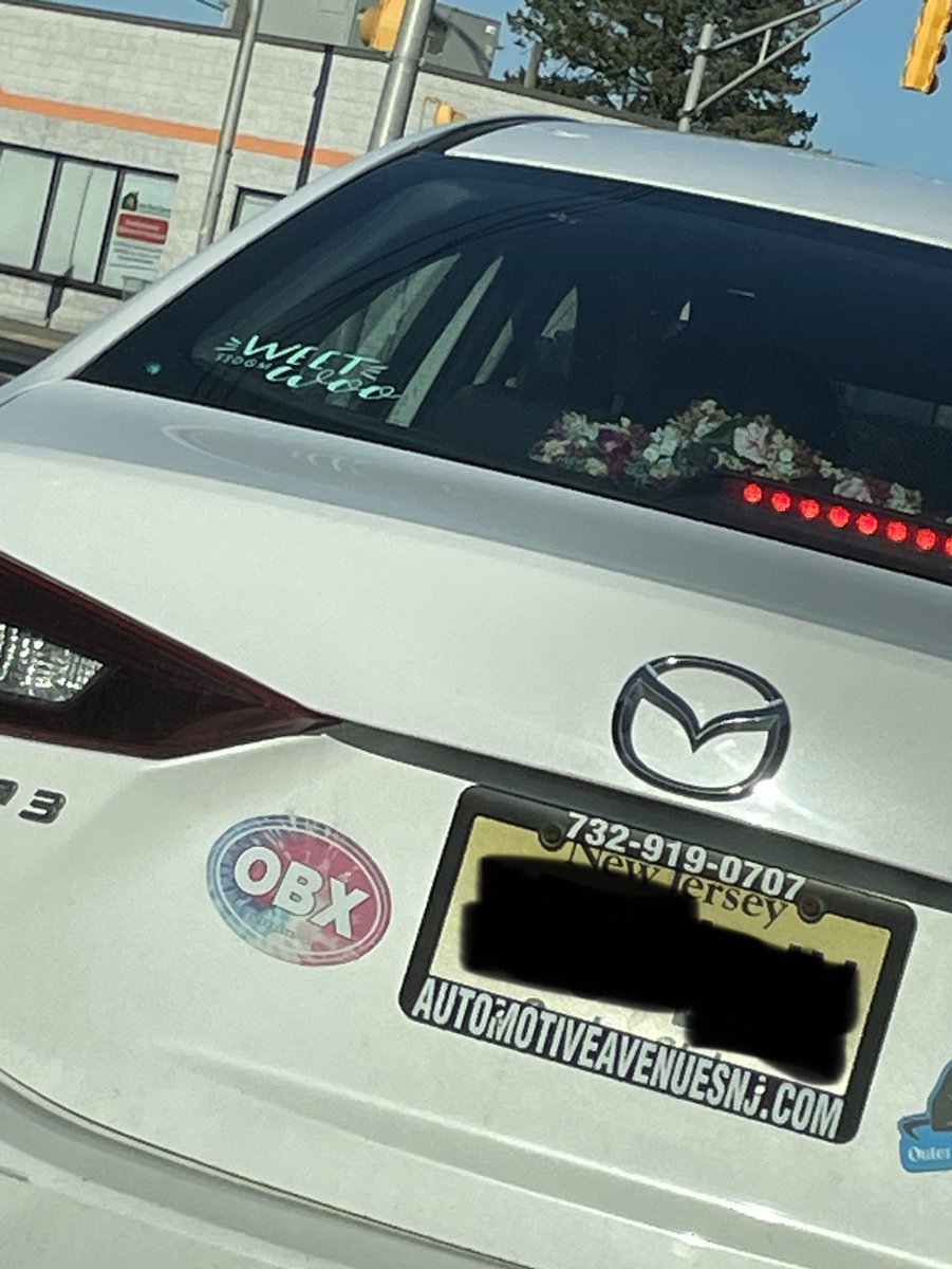 on hiatus tweet media