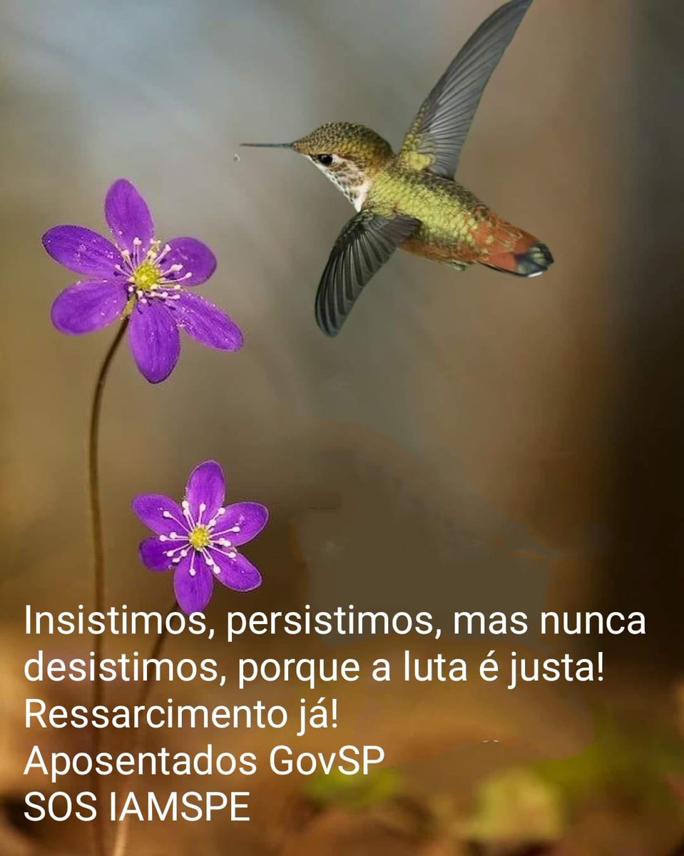 Marga Azevedo🇧🇷🚩🚩🚩 tweet media