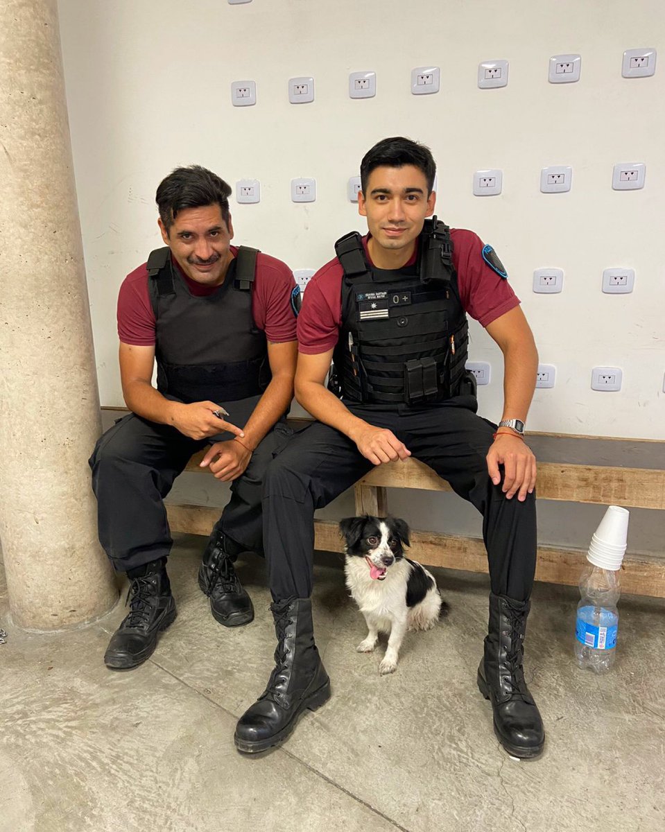 PoliciaCiudadBA's tweet photo. Los oficiales Santiago Quiroga y Darío Sandez respondieron a la denuncia de una vecina y rescataron a un perrito abandonado en el interior de un contenedor de basura. https://t.co/57VVQPWQzx