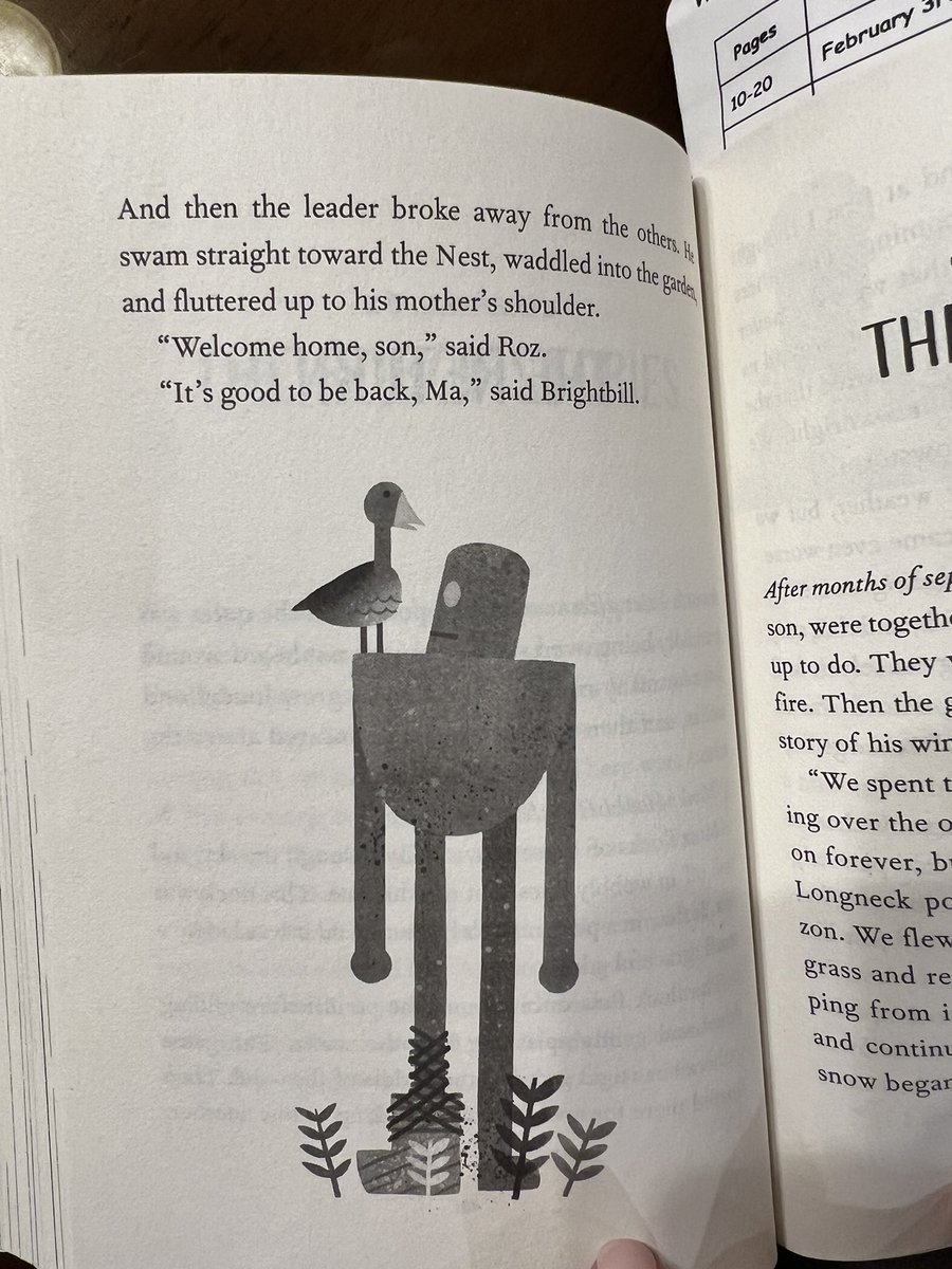 Brooke Napoli tweet media