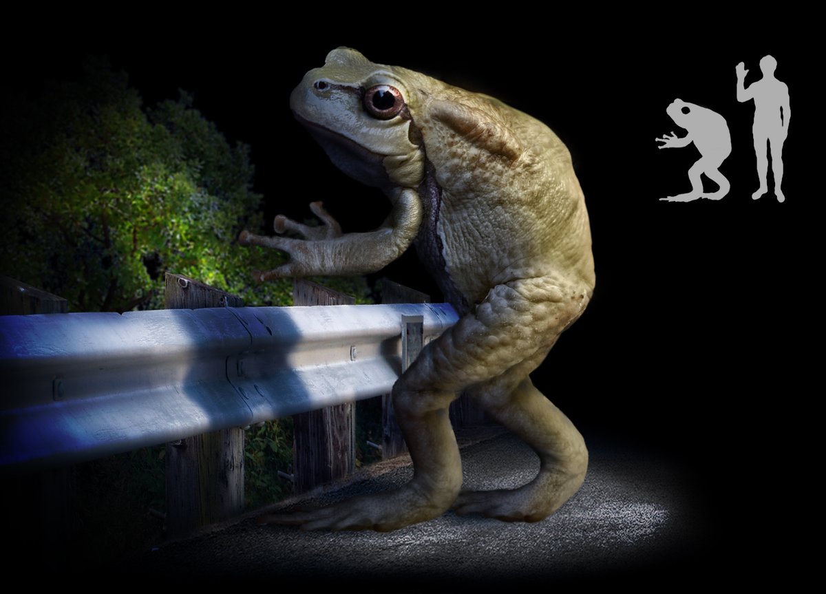 Today it's World Frog Day, perfect day to share this image of the Loveland Frogman.
(Left, the iconic original photoshop from Wikipedia, made by Tim Bertelink. Right, my remastered version.)