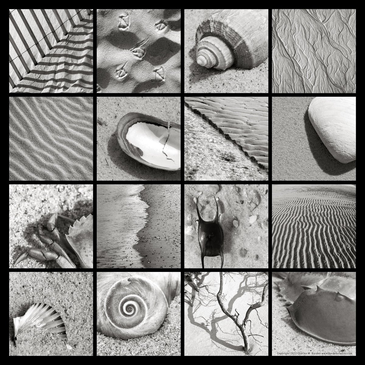 hardenstudios's tweet photo. Photo sand collage, Cape Cod.
#capecodart, #capecod, #capecodnationalseashore, #sandyneckbeach https://t.co/IqNKxZV5ad
